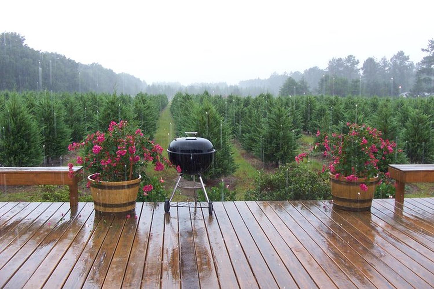 Fish River Trees Farm 1