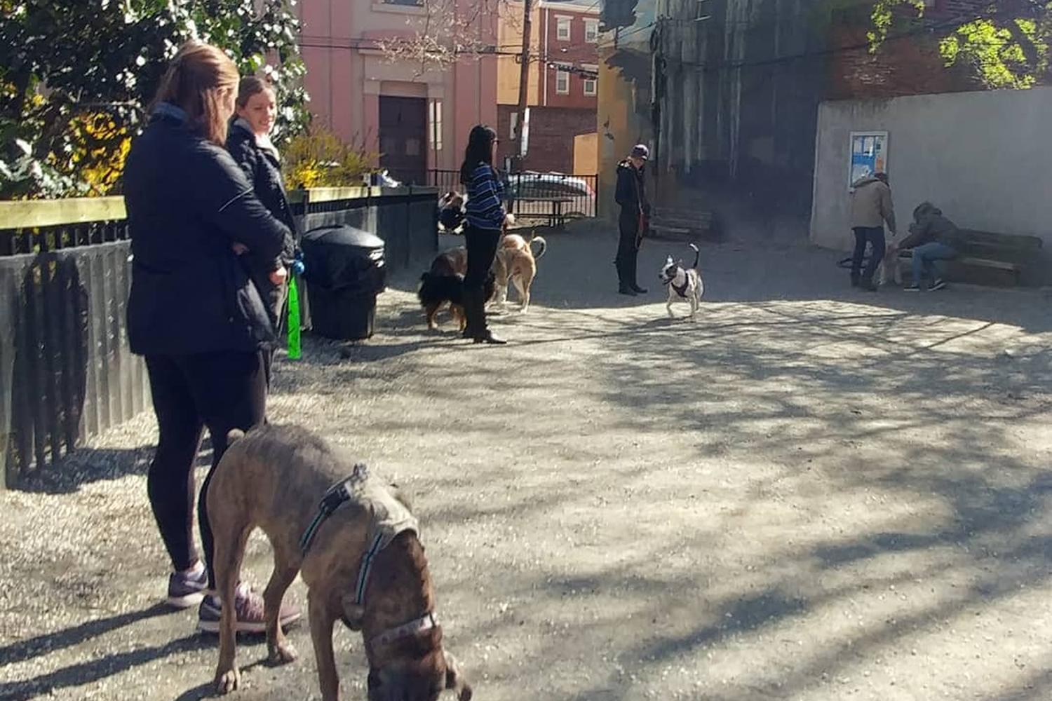 Mario Lanza Dog Park 7