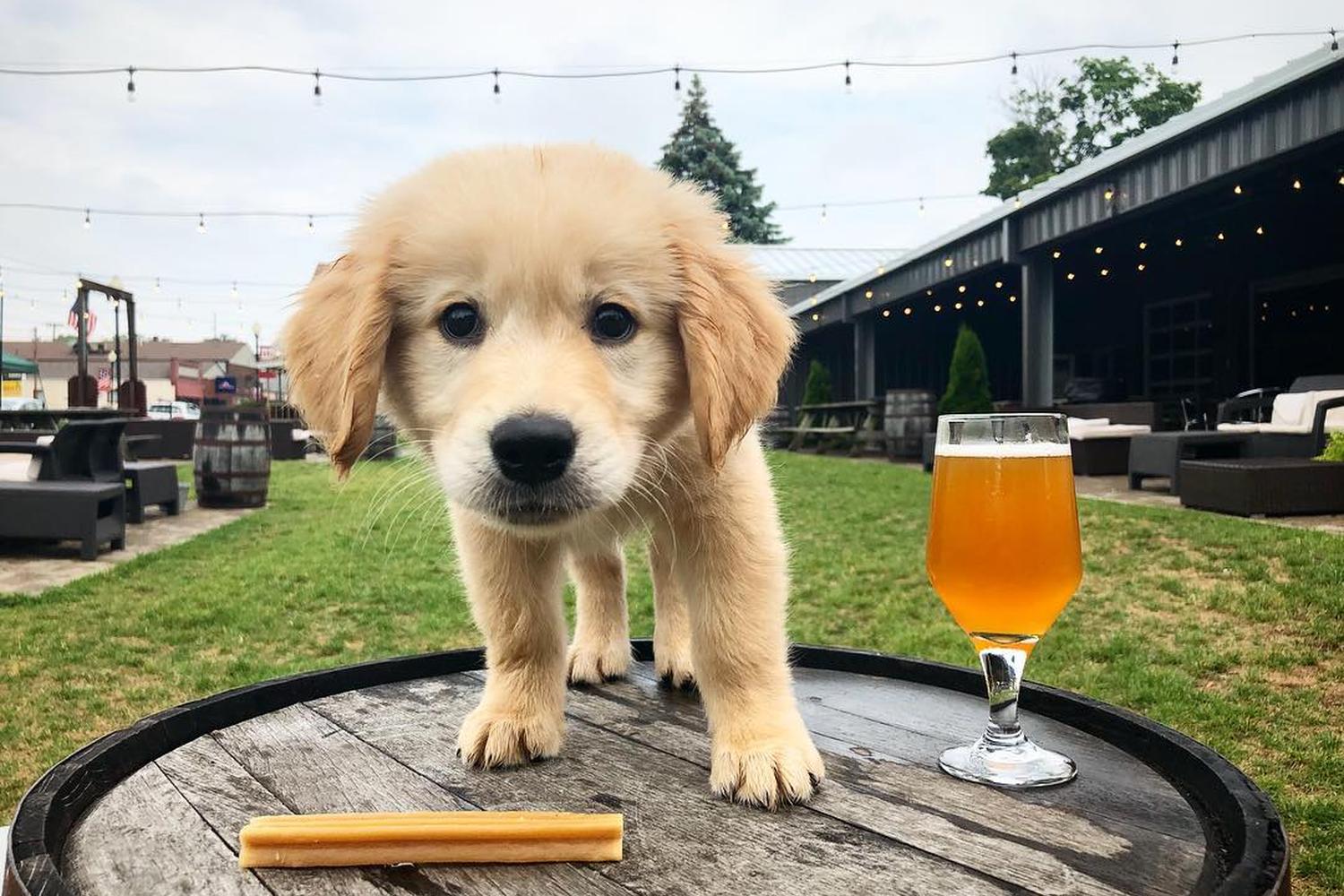 Watermark Brewing Company 3