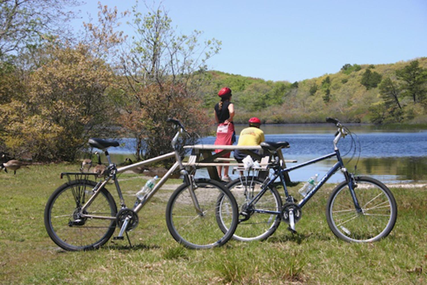 The Bike Shack 3