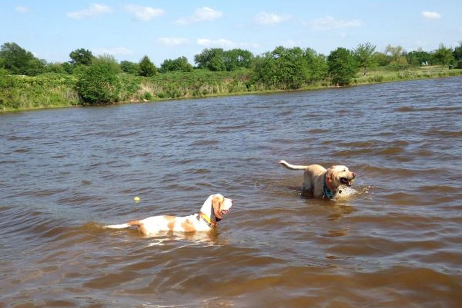 Edmond Dog Park at Bickham-Rudkin Park 0
