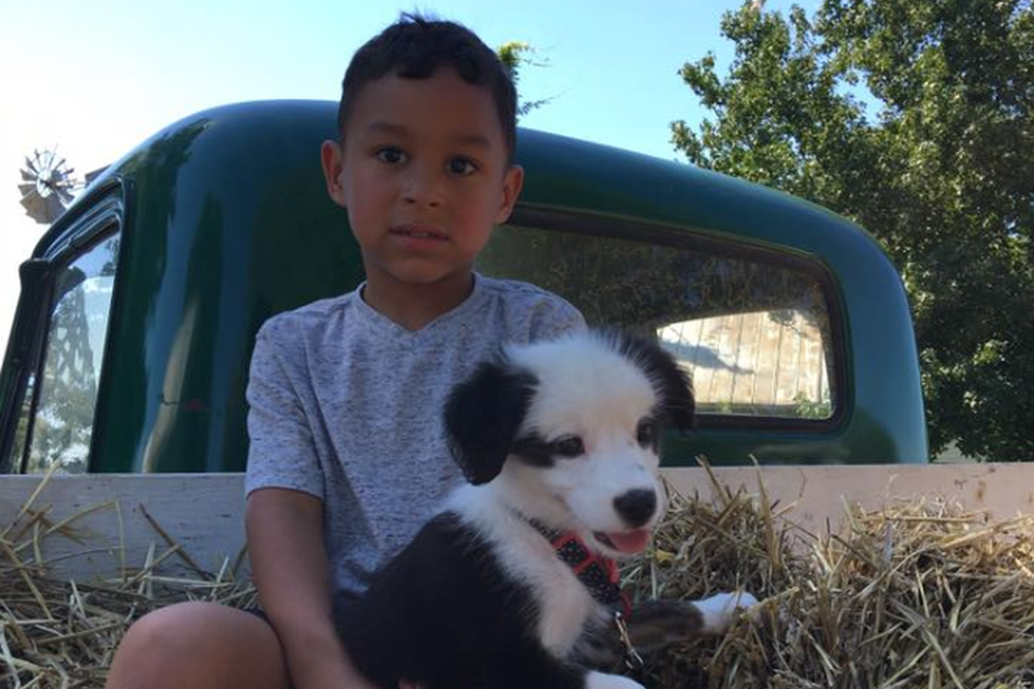 Alldredge Orchards 0