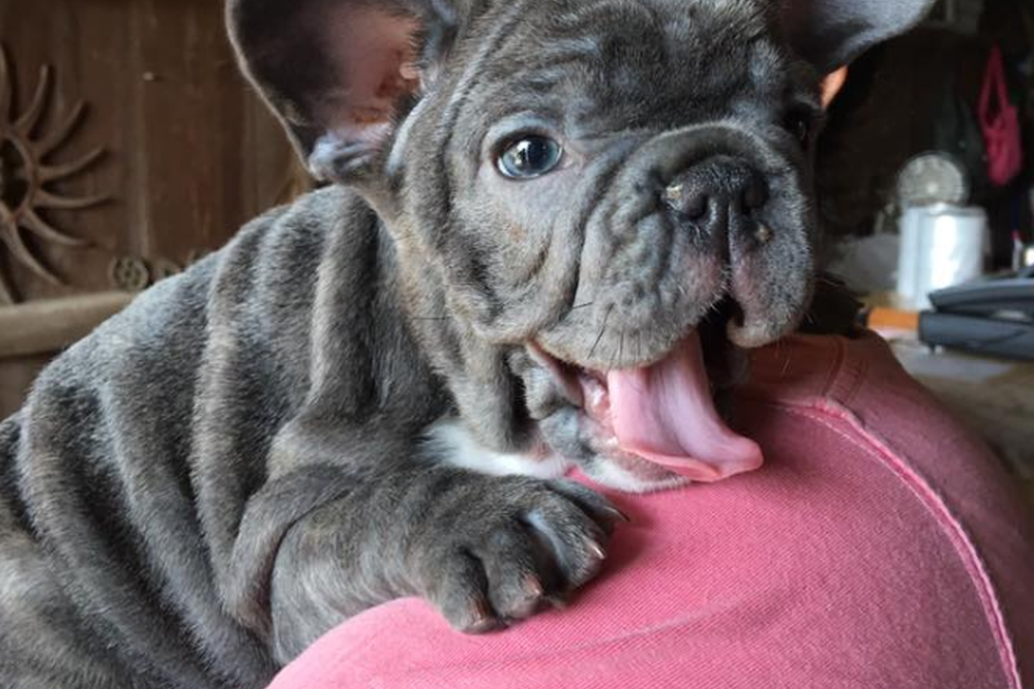 Alldredge Orchards 4