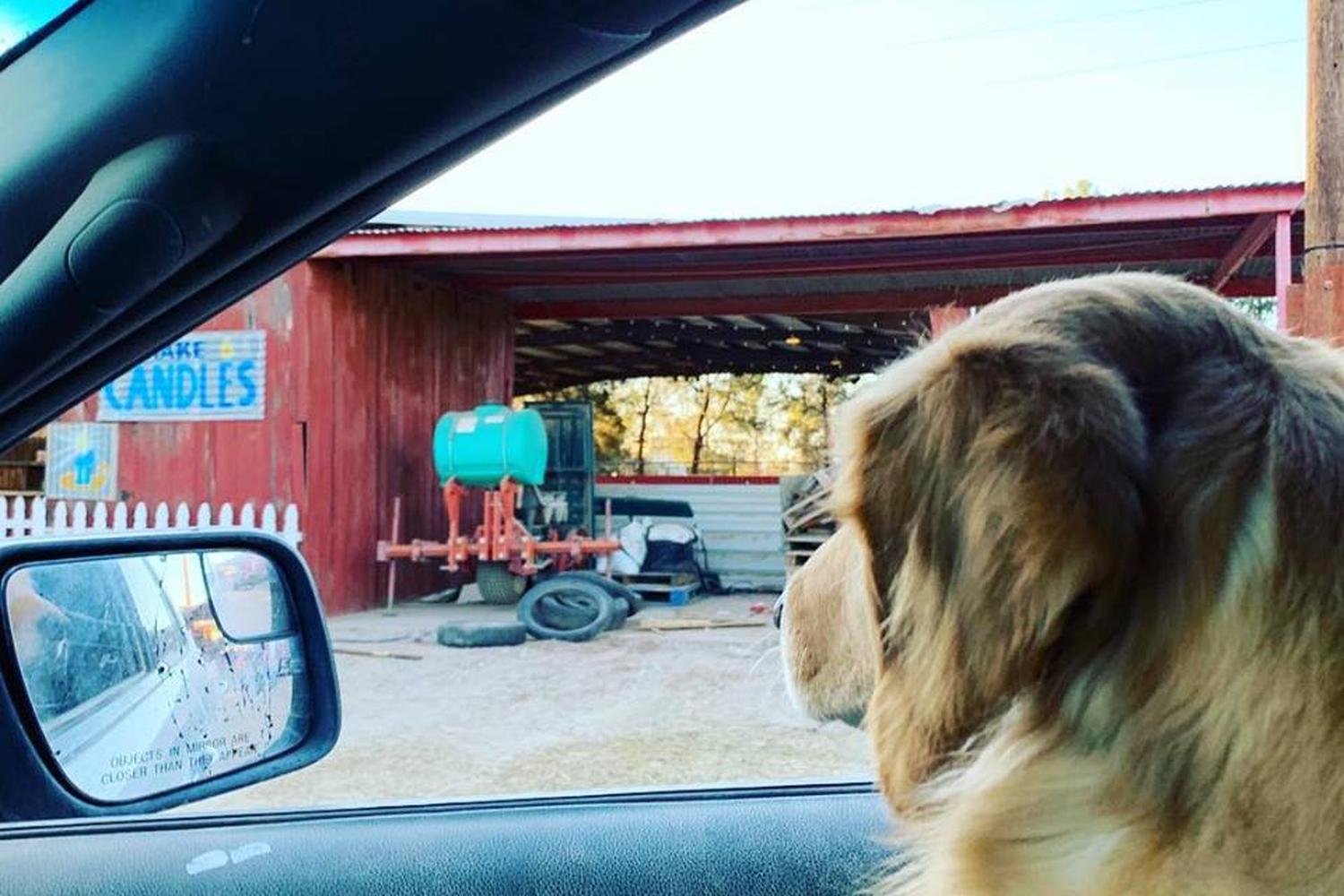 Schnepf Farms 2