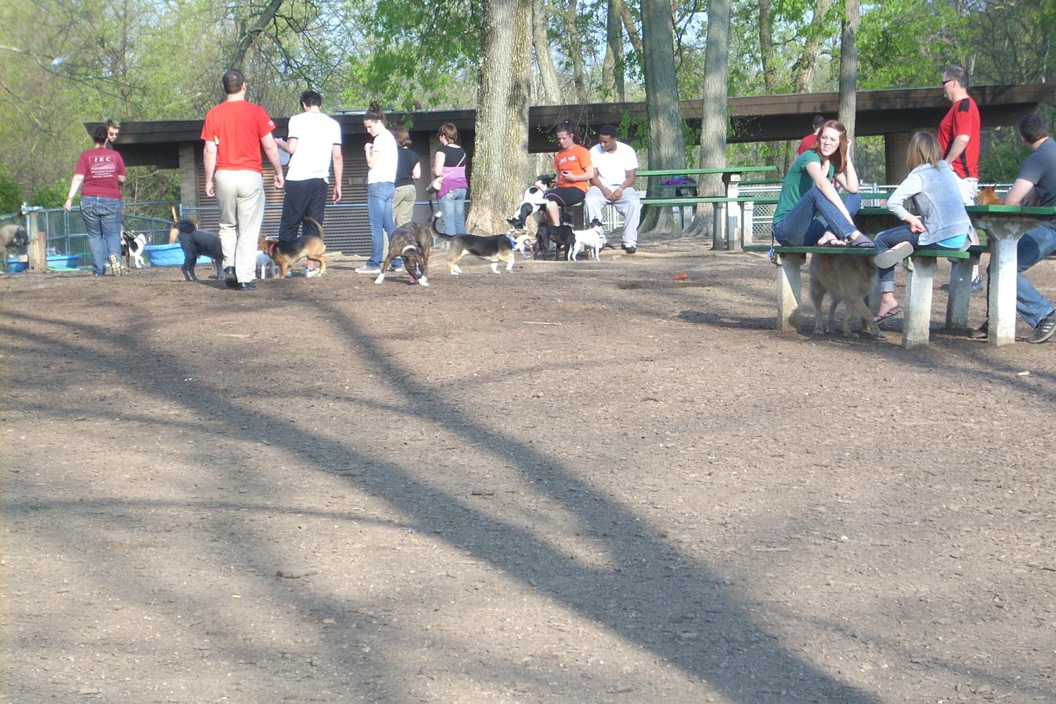 Mt. Airy Forest Dog Park 4