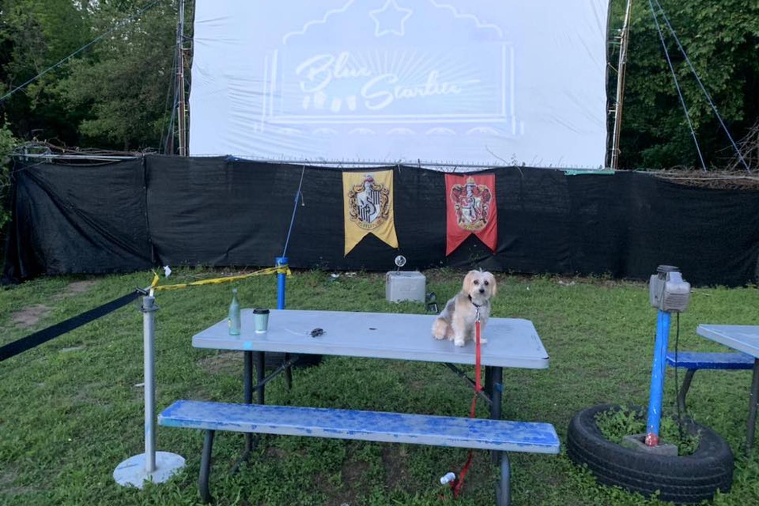 Blue Starlite Mini Urban Drive-In 0