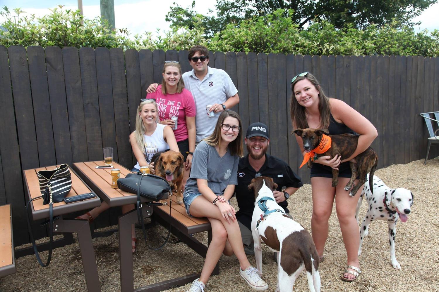 The Unleashed Dog Bar 2