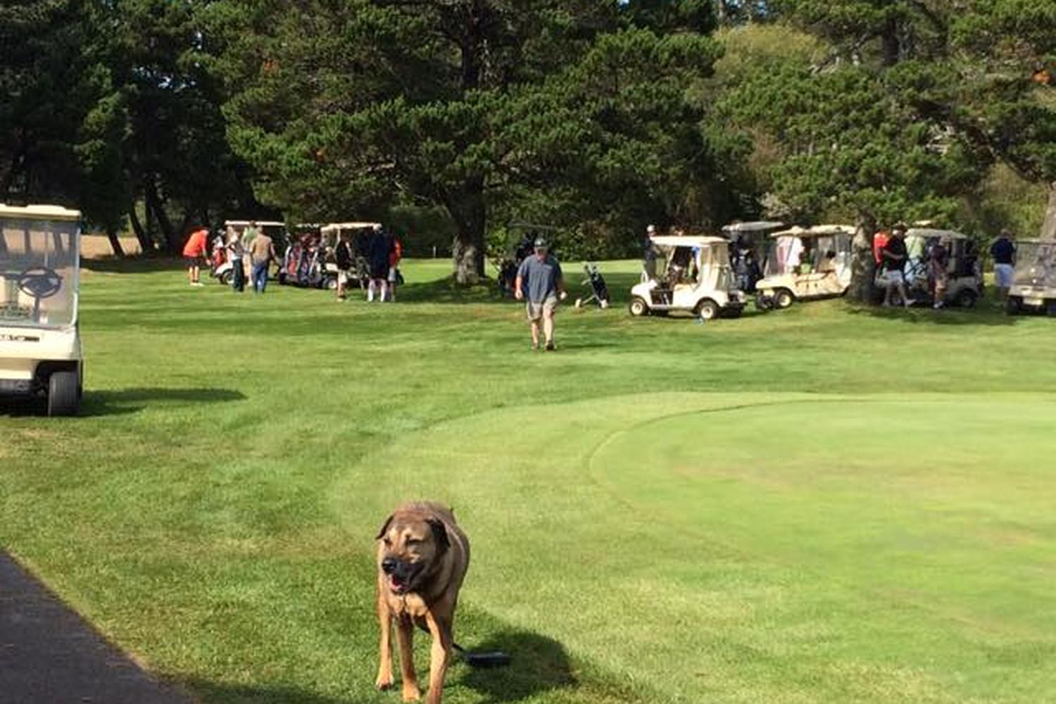 Agate Beach Golf Course 4