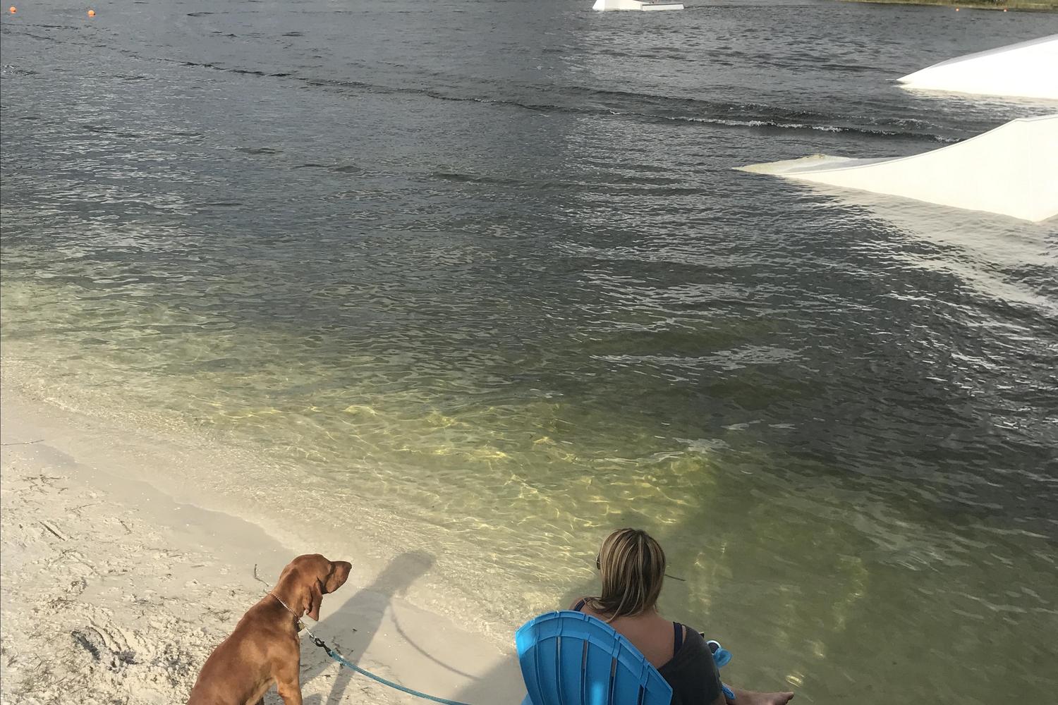 Shark Wake Park 561 2