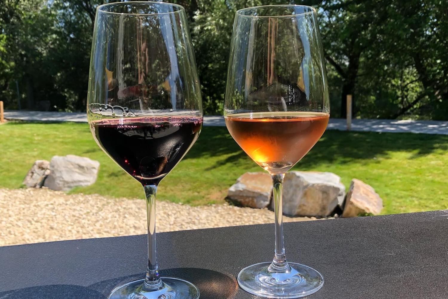 Telaya Wine Co. 6