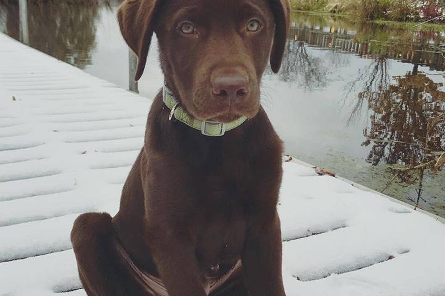 WaterDog Outfitters 3