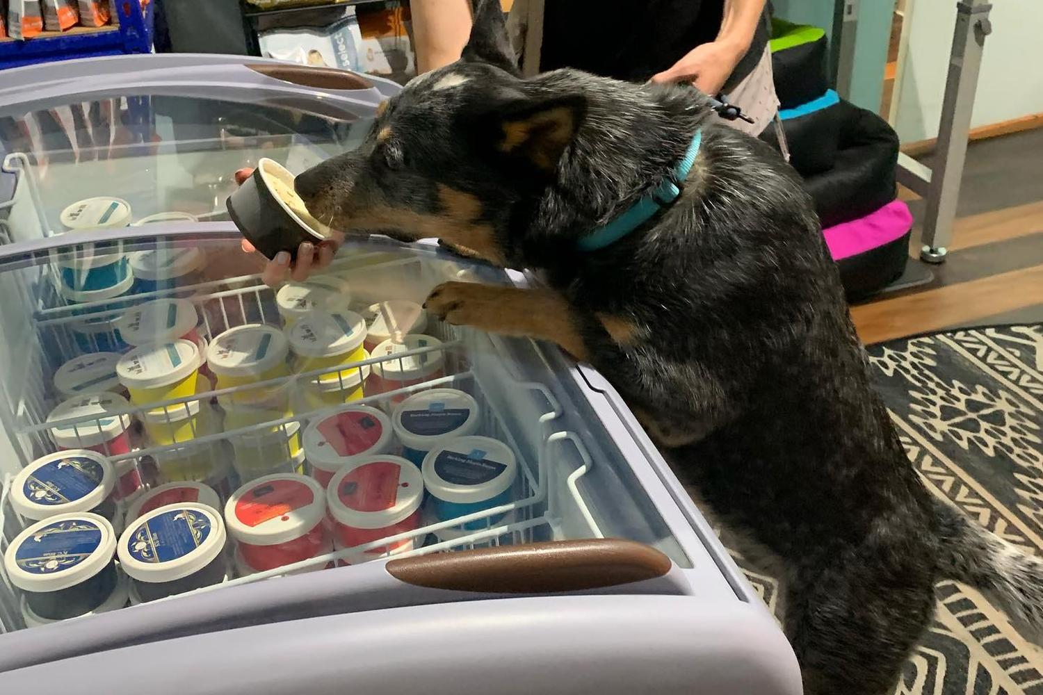 Mixed Mutt Creamery 0