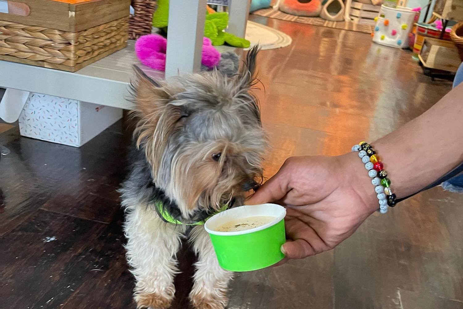 Mixed Mutt Creamery 2