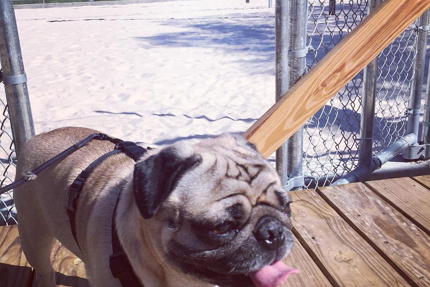 Sideout Volley Bar 1