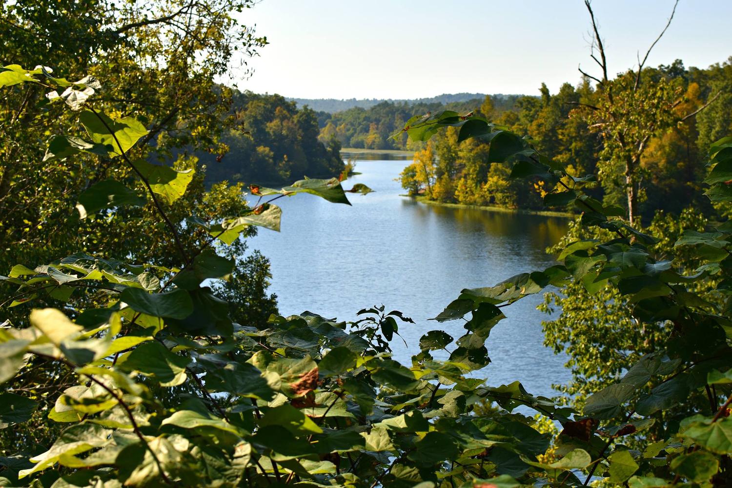 Pennyrile Forest State Resort Park 2