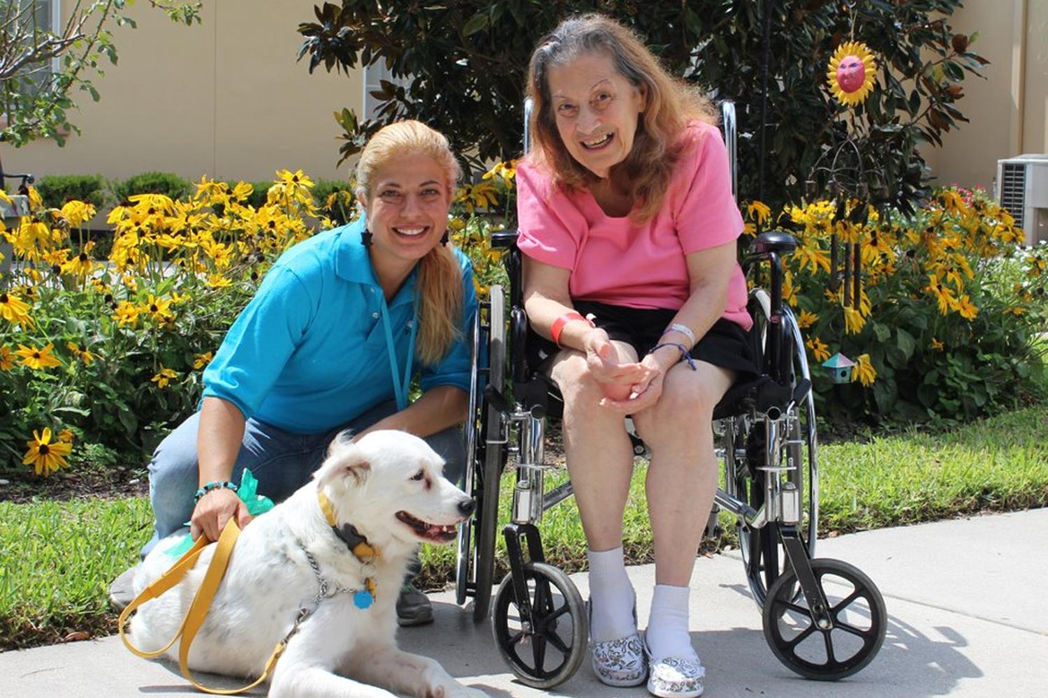 Nanda's Walking Paws 4