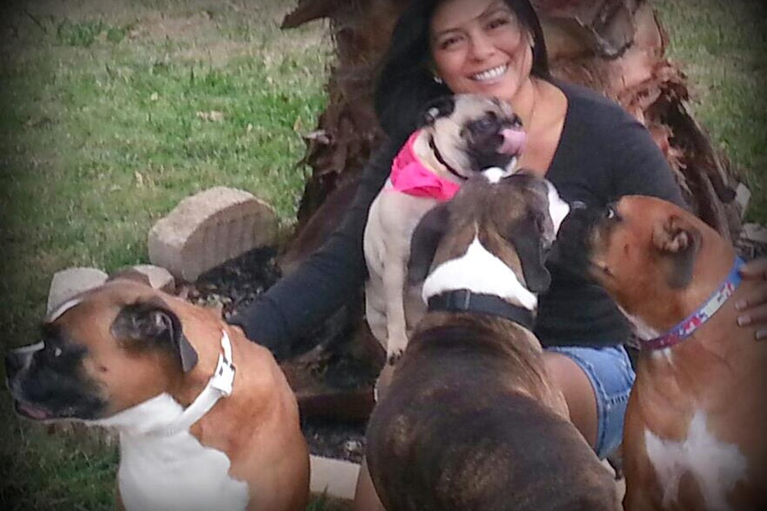 Snuggles and Hugs Active Dog Camp 0
