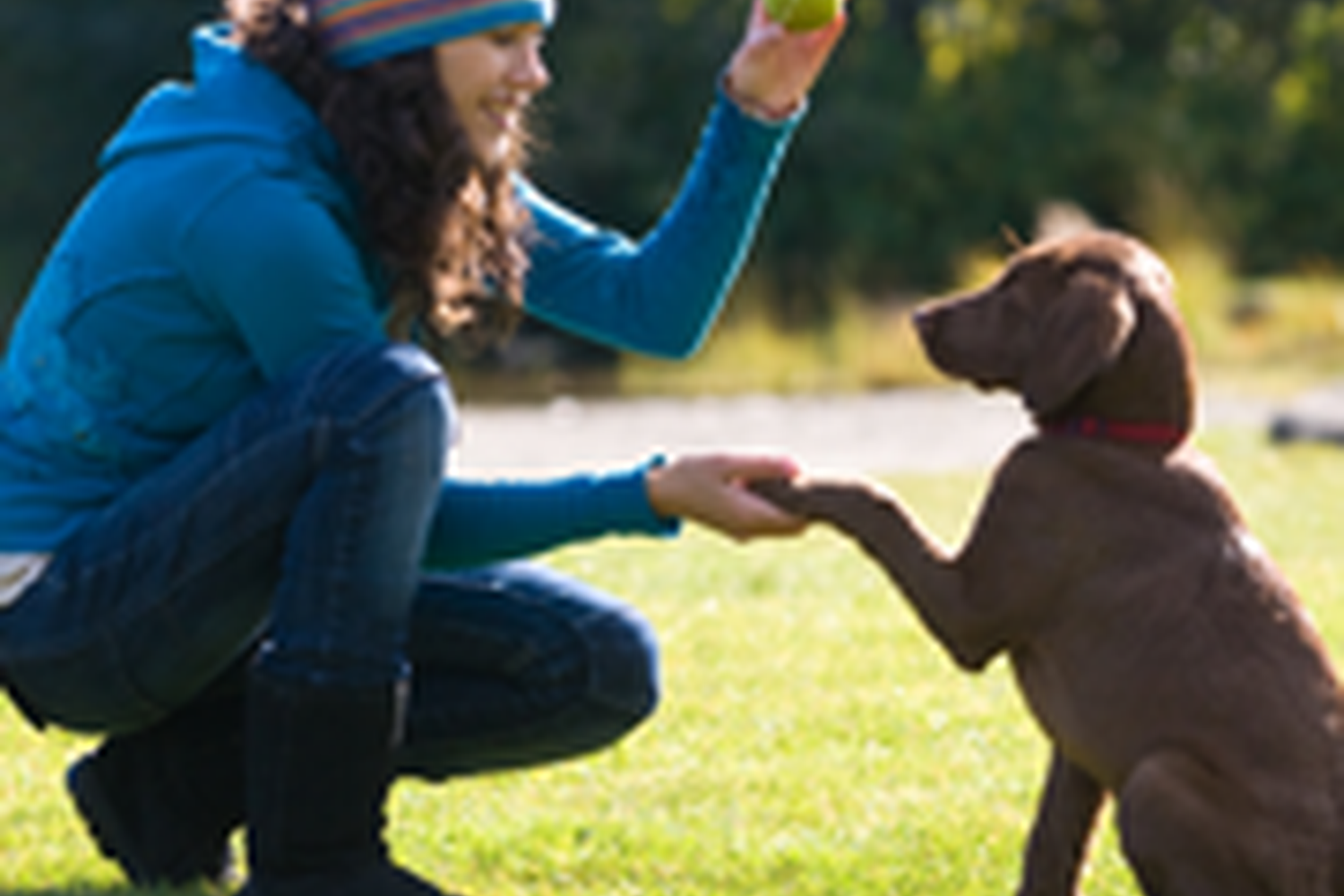 Gwinnett Pet Watchers 4