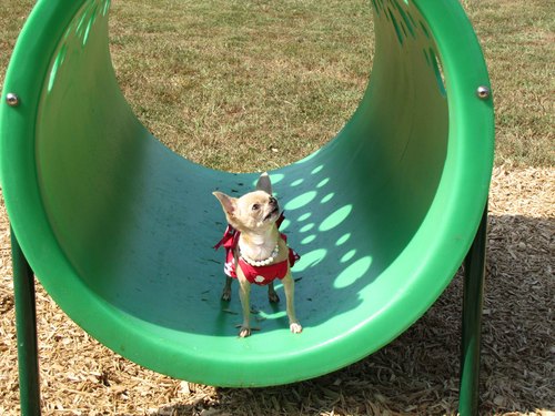 Heritage Dog Park  3