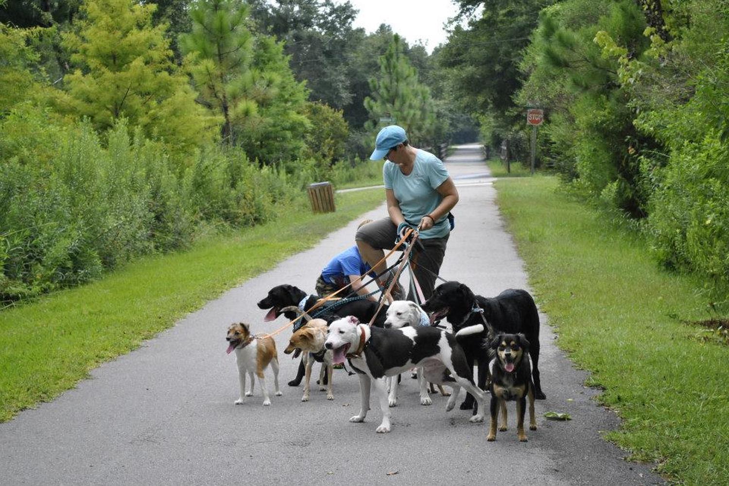 DogSmith Pet Care & Dog Training Gulf Coast 0