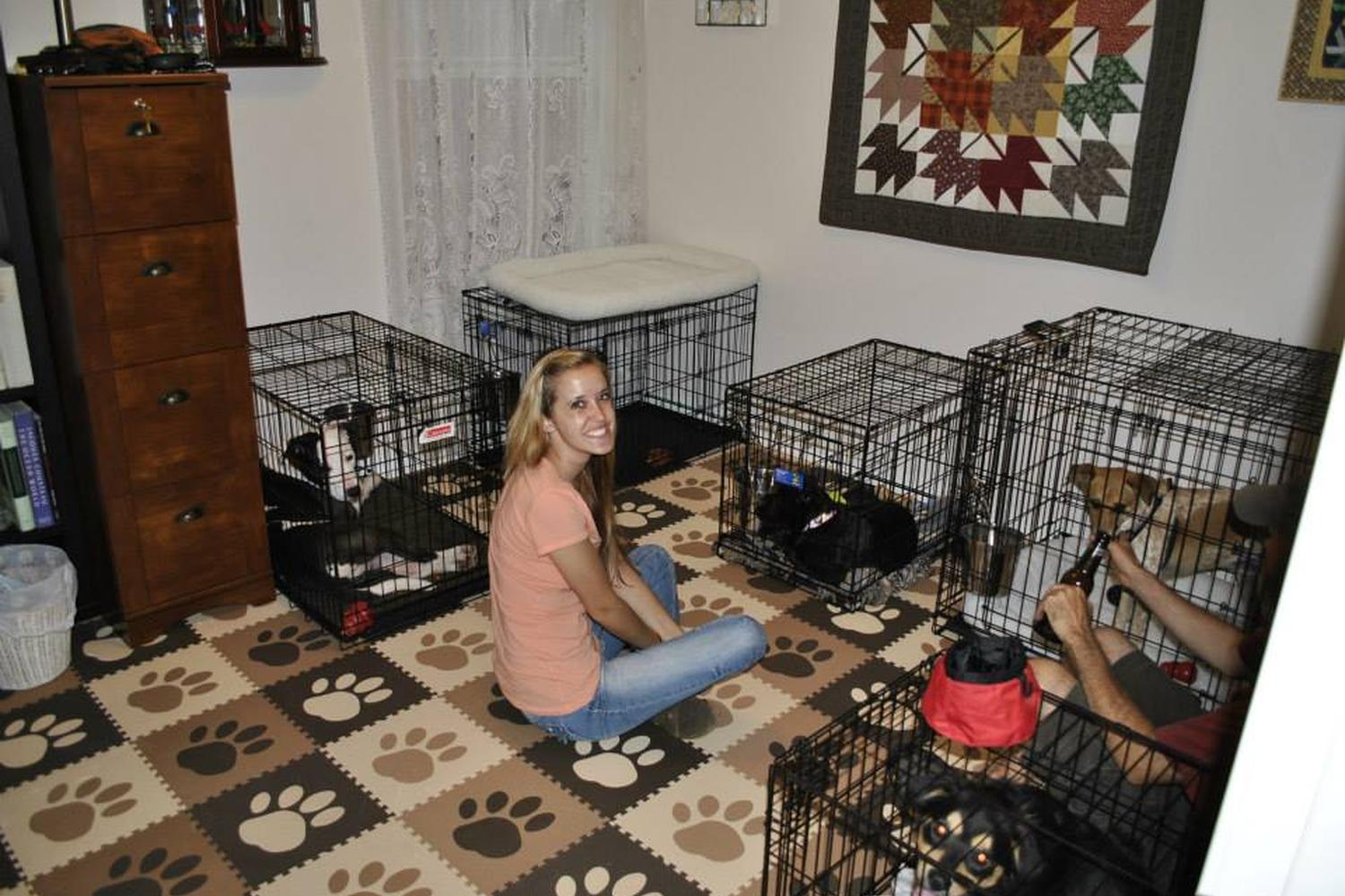 DogSmith Pet Care & Dog Training Gulf Coast 1