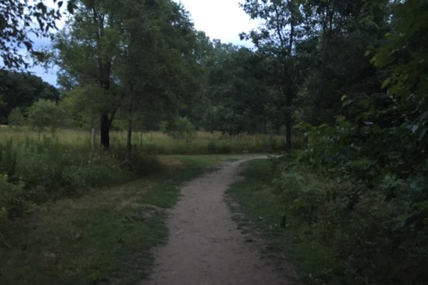 Raccoon River Dog Park 3