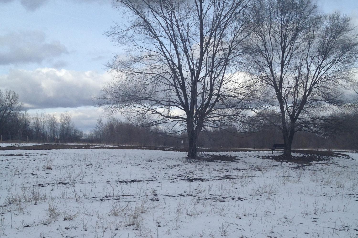Raccoon River Dog Park 0