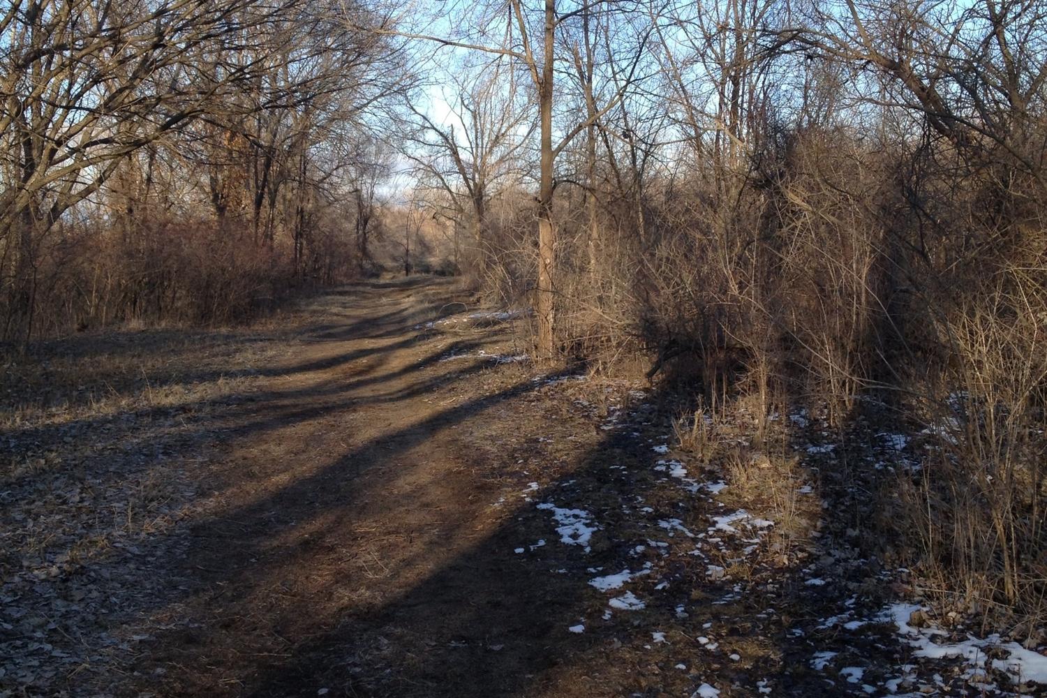 Raccoon River Dog Park 1