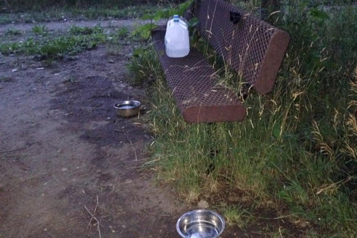 Raccoon River Dog Park 5