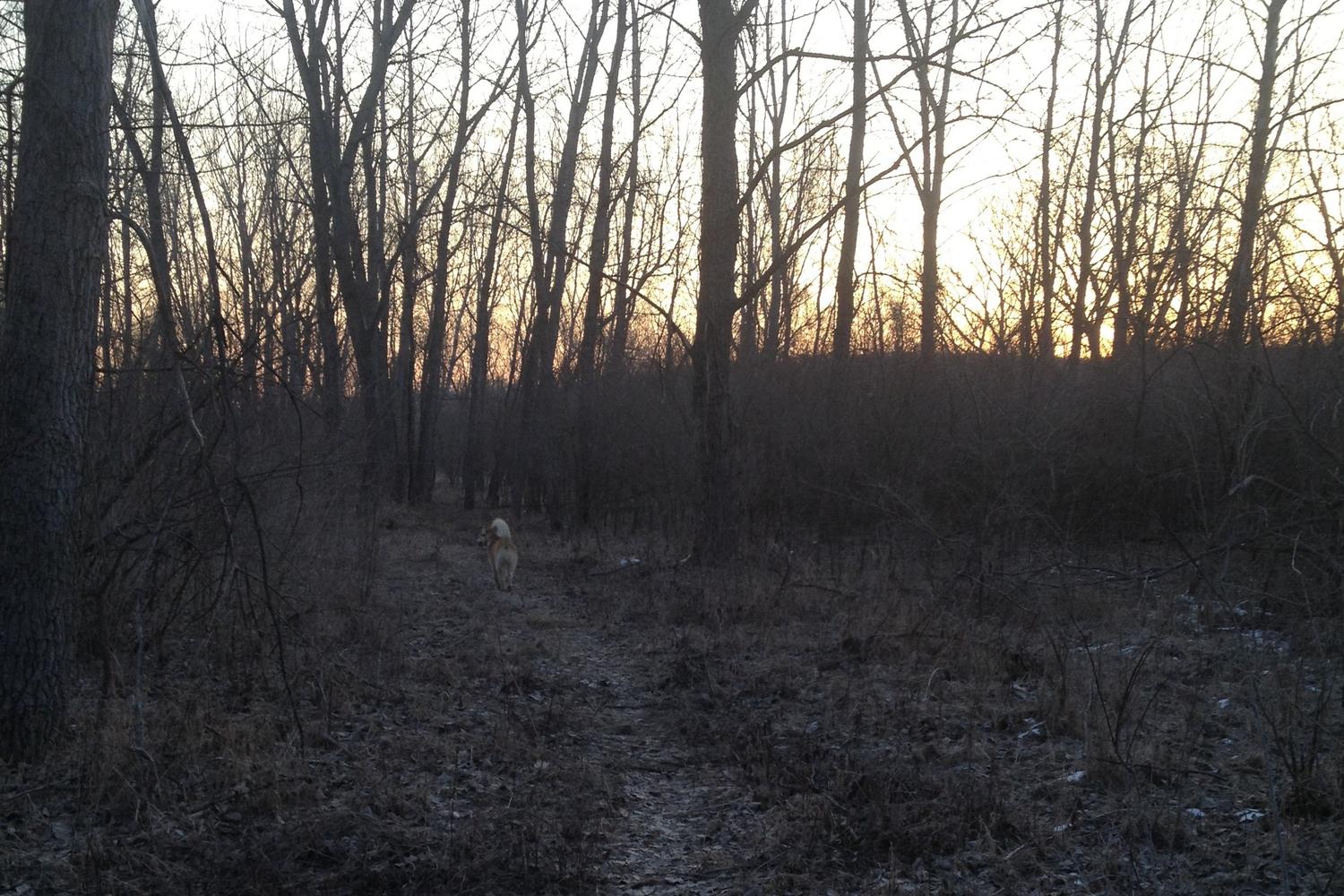 Raccoon River Dog Park 2