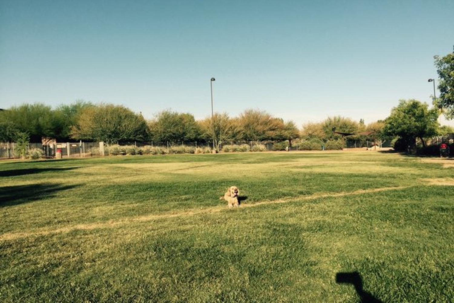 Chaparral Park 1