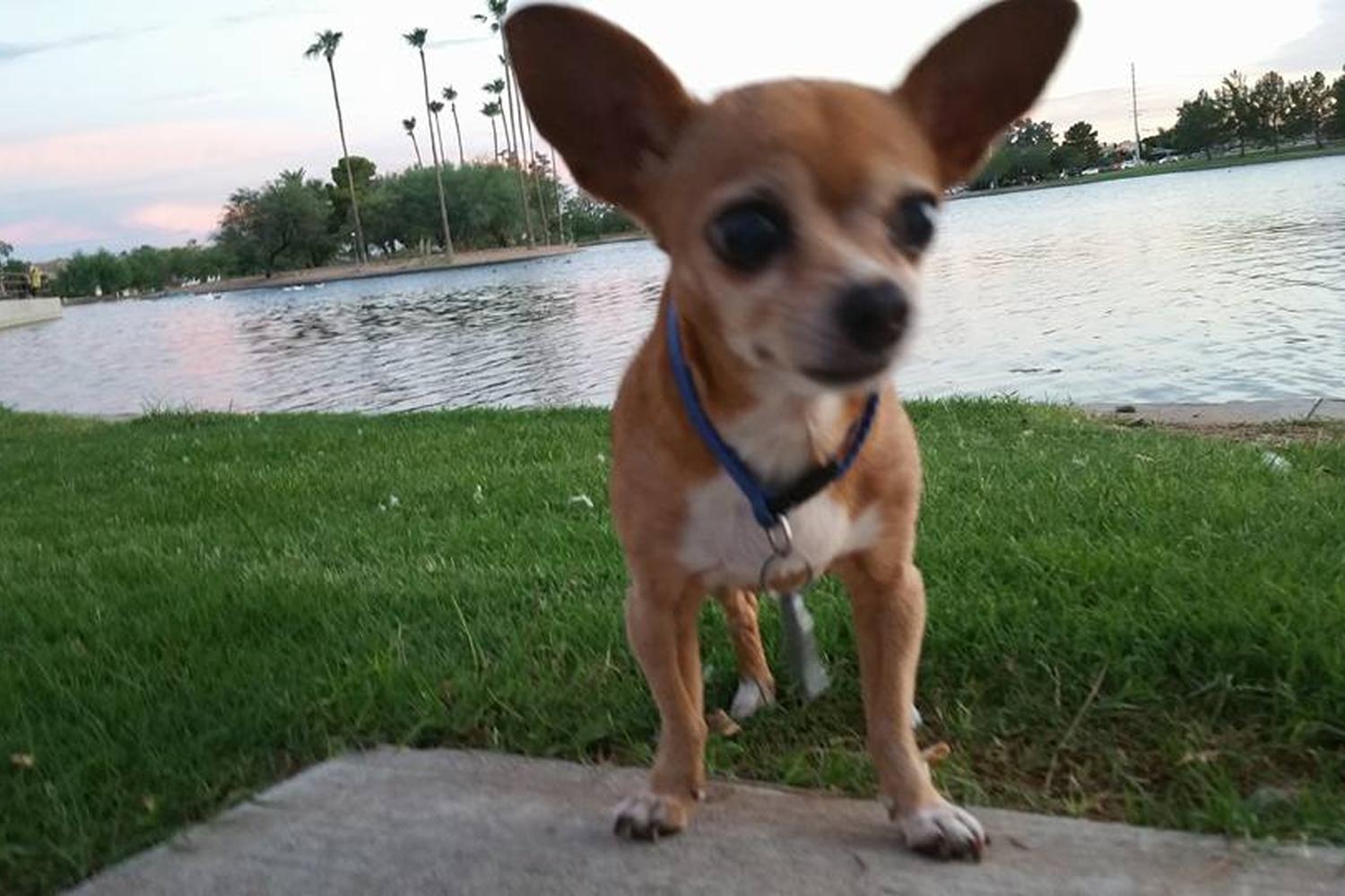 Chaparral Park 3