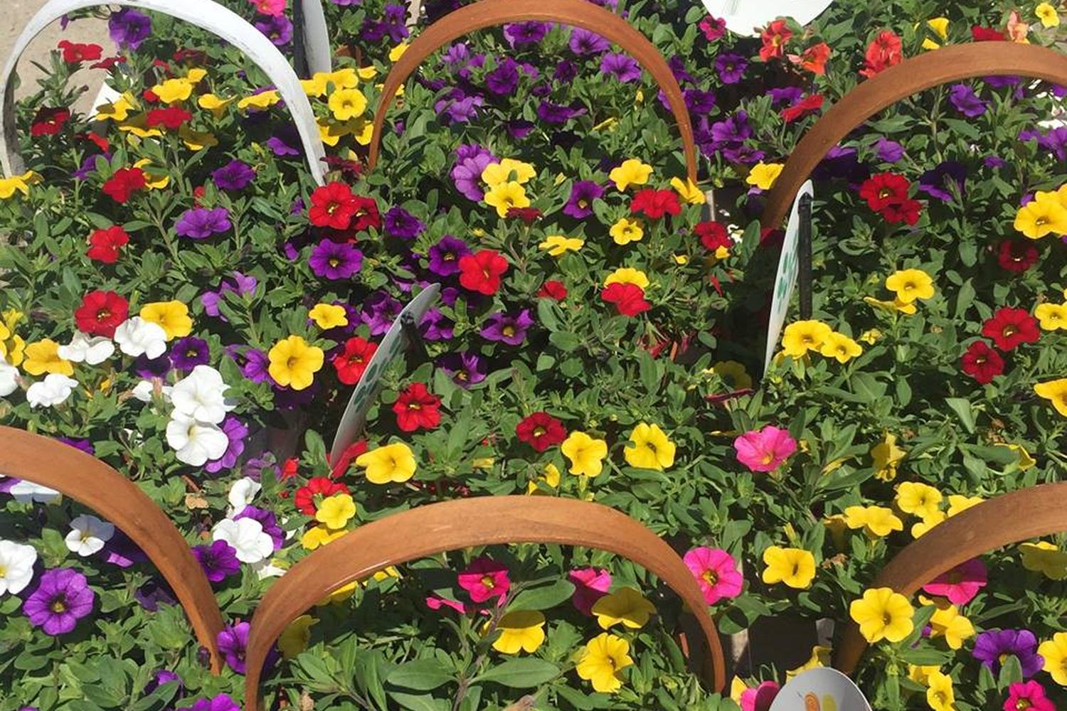 Stein's Garden & Home 5