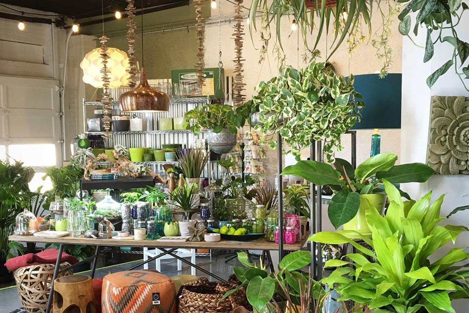 Urban Roots Garden Store & Landscape 4