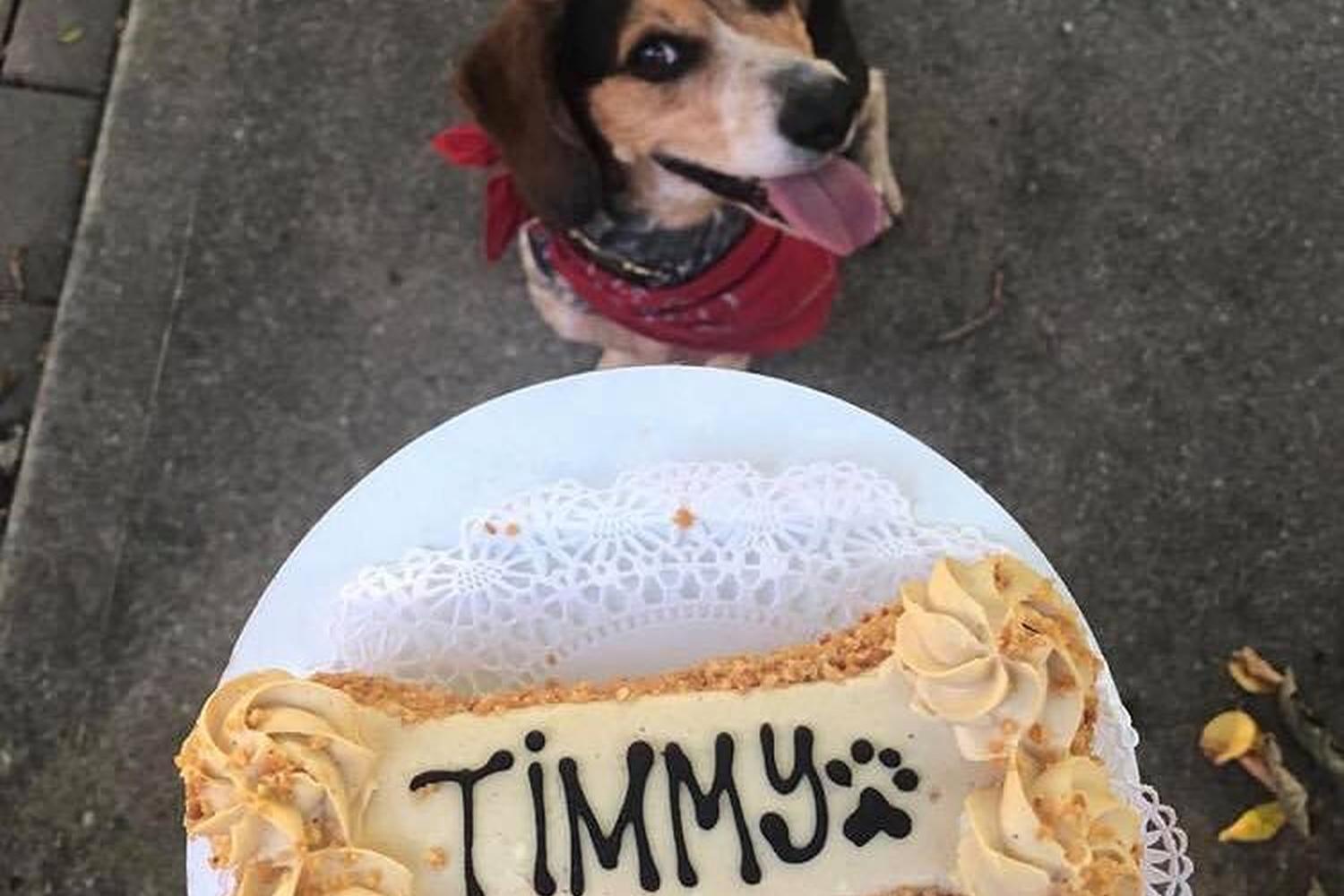 Three Dog Bakery 2