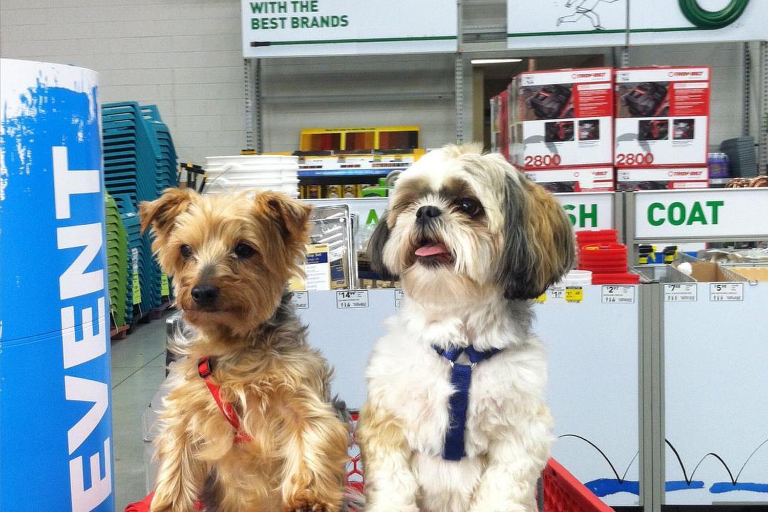 Lowe's Home Improvement 4