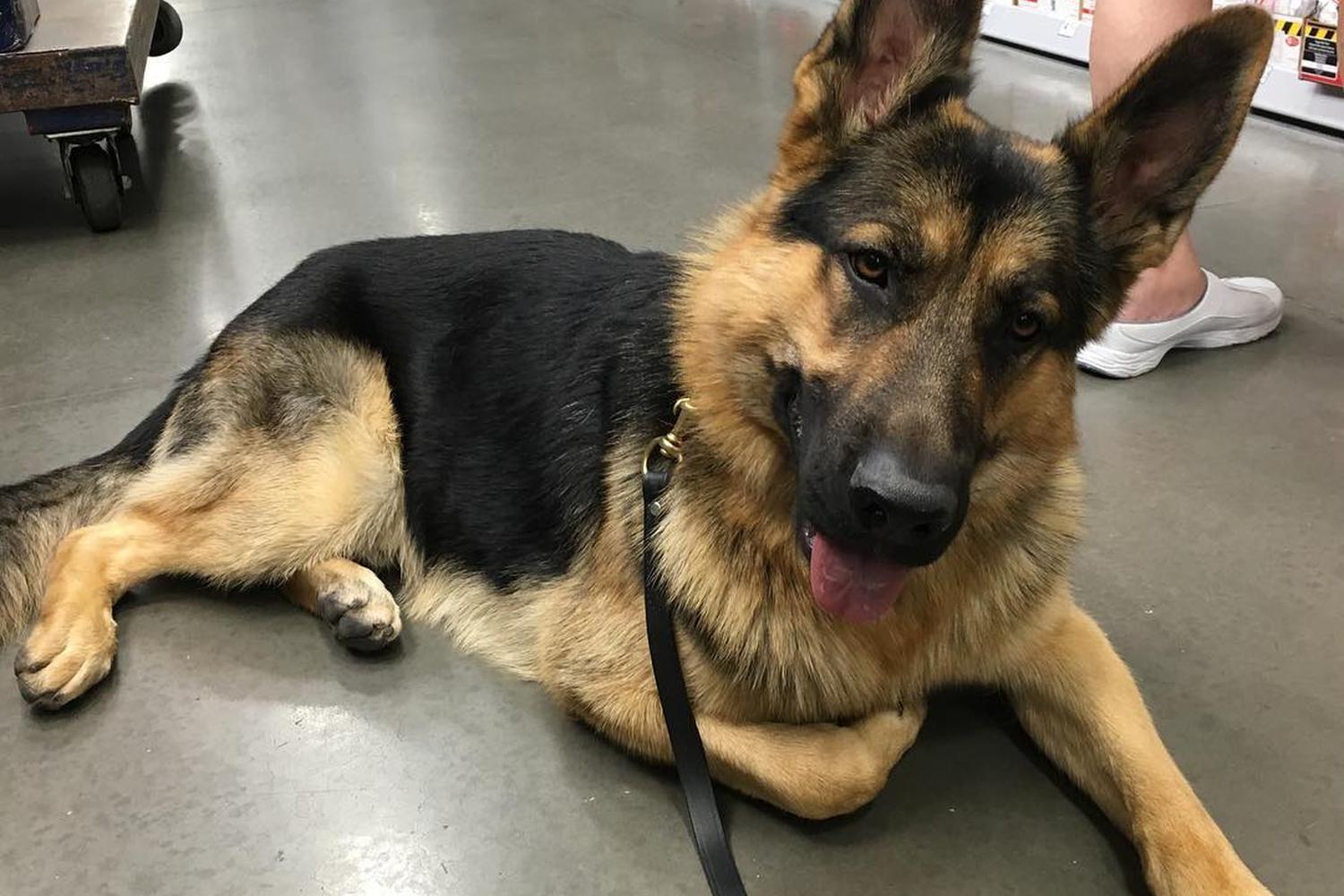 Lowe's Home Improvement 6