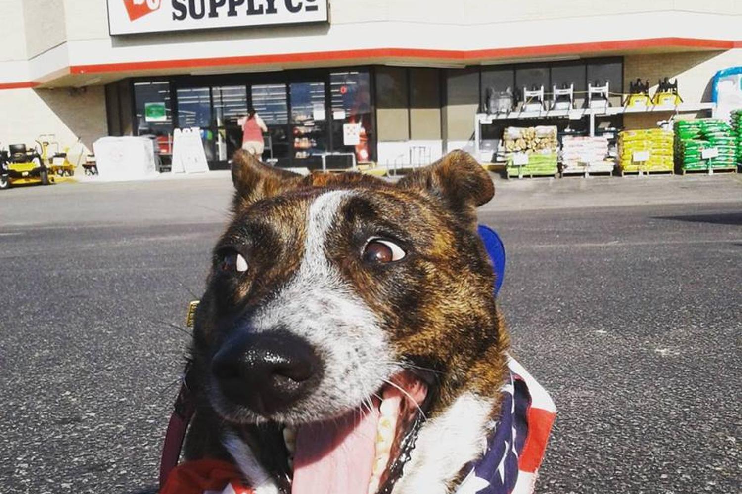 Tractor Supply Co. 4