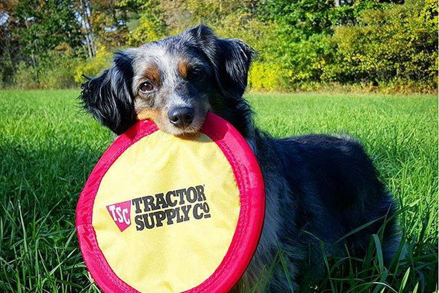 Tractor Supply Co. 1