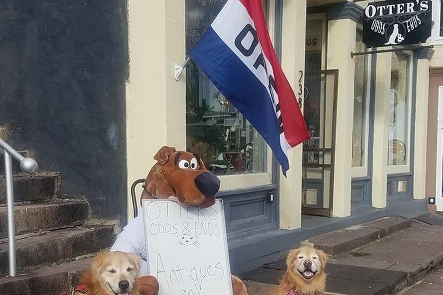 Otter’s Odds and Ends 0