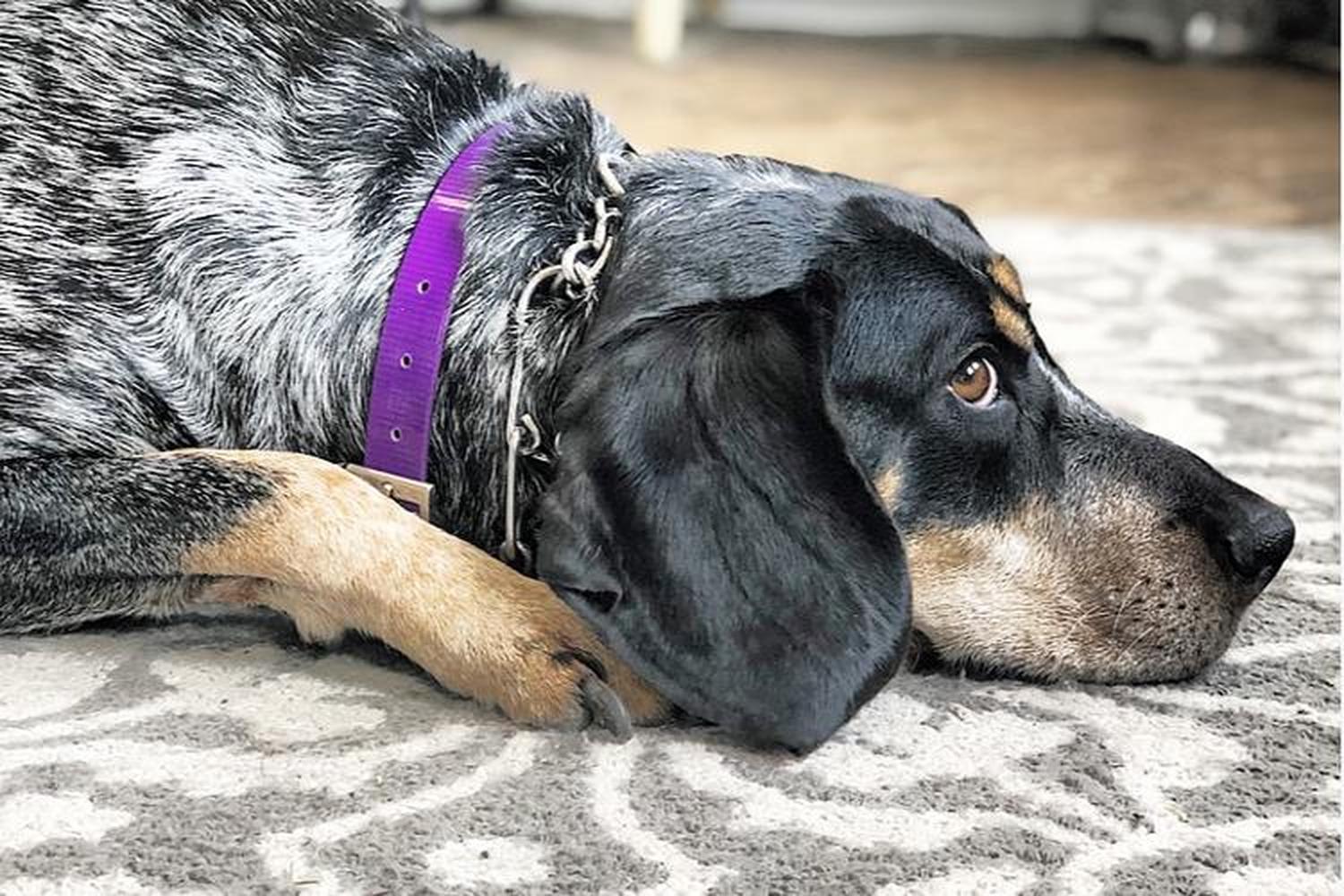 Otter’s Odds and Ends 2