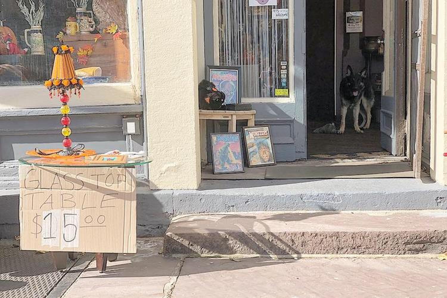 Otter’s Odds and Ends 1