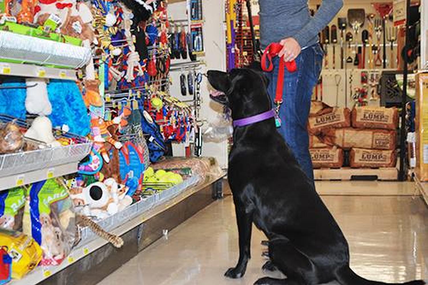 Westlake Ace Hardware 1