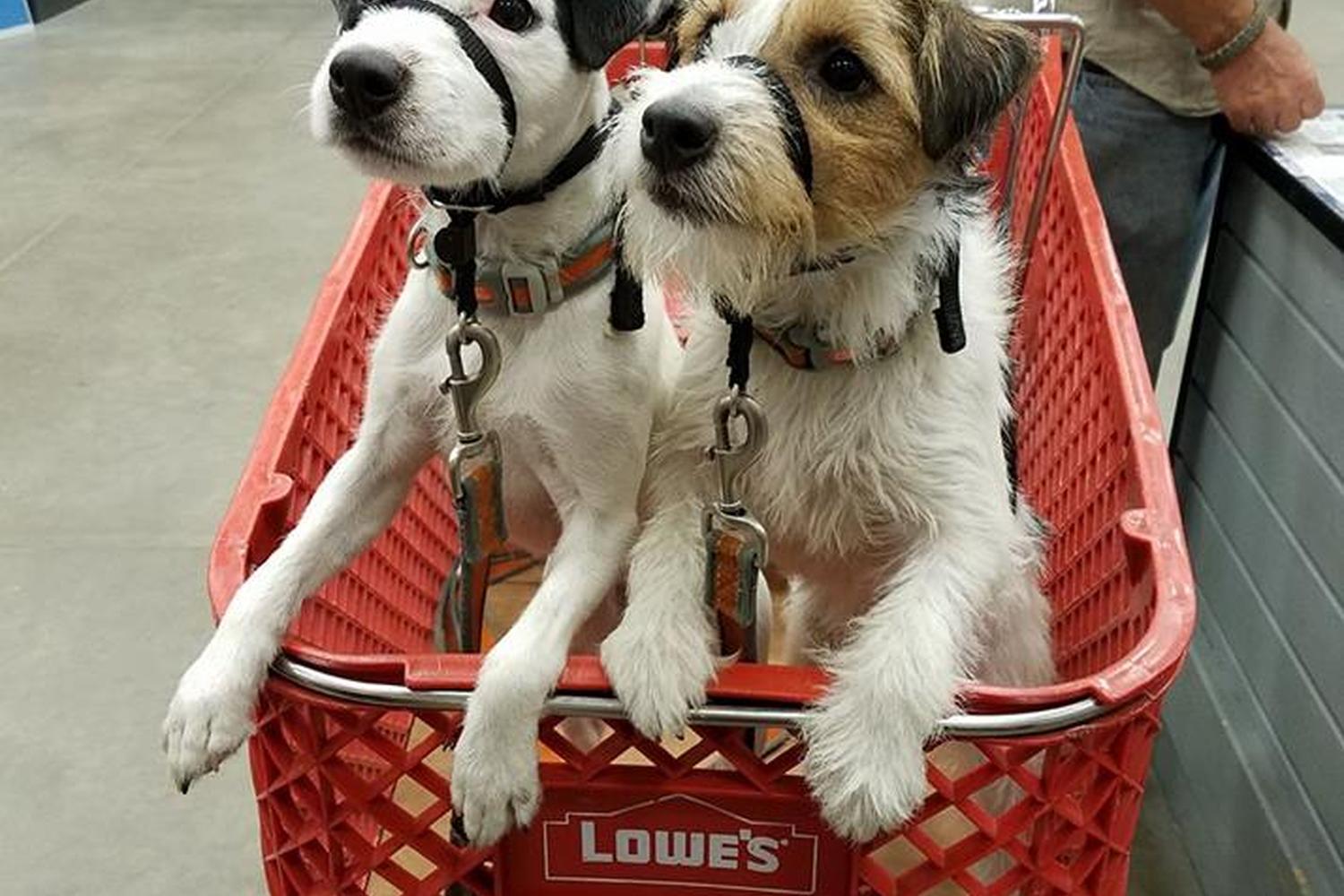 Lowe's Home Improvement 2