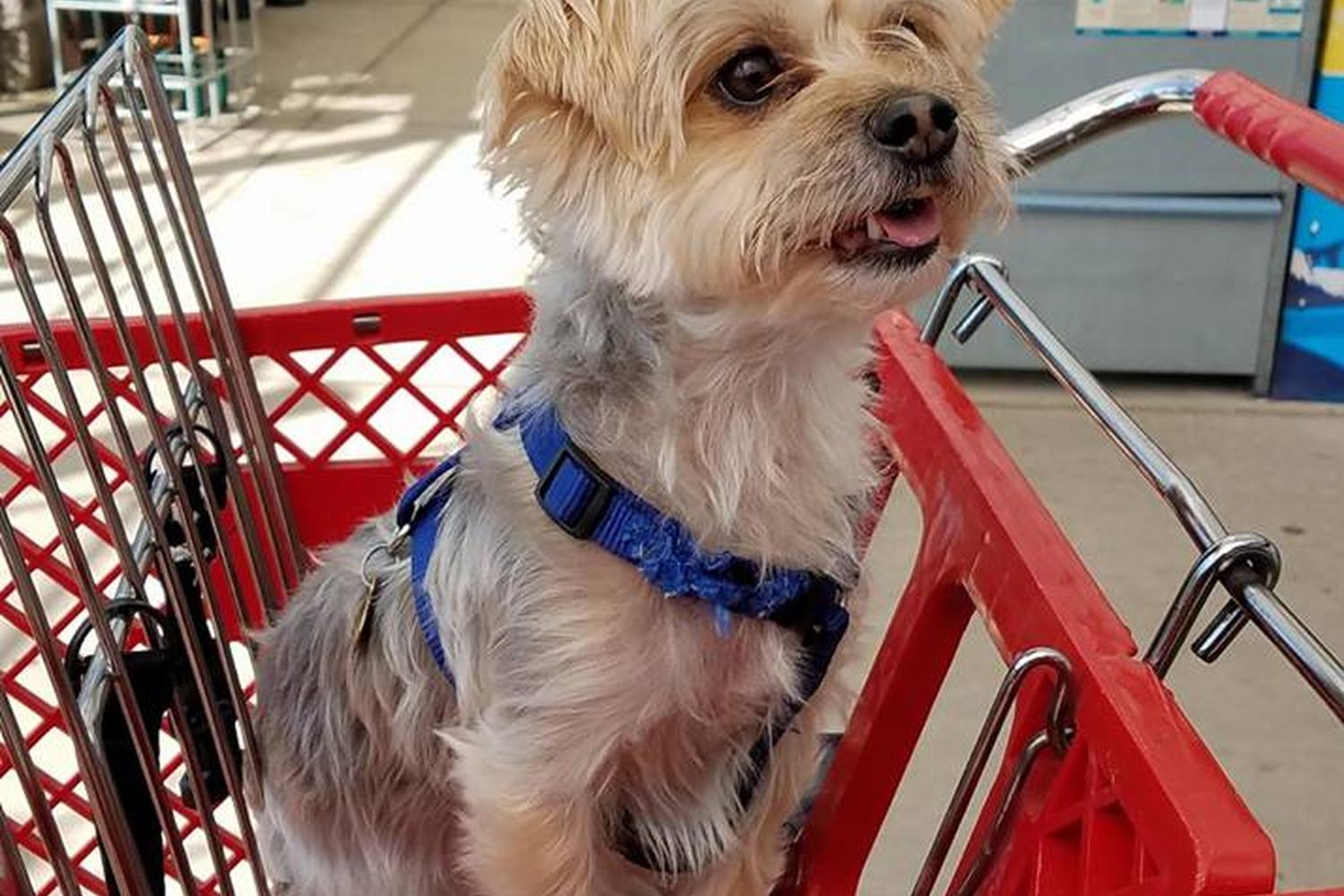 Lowe's Home Improvement 1