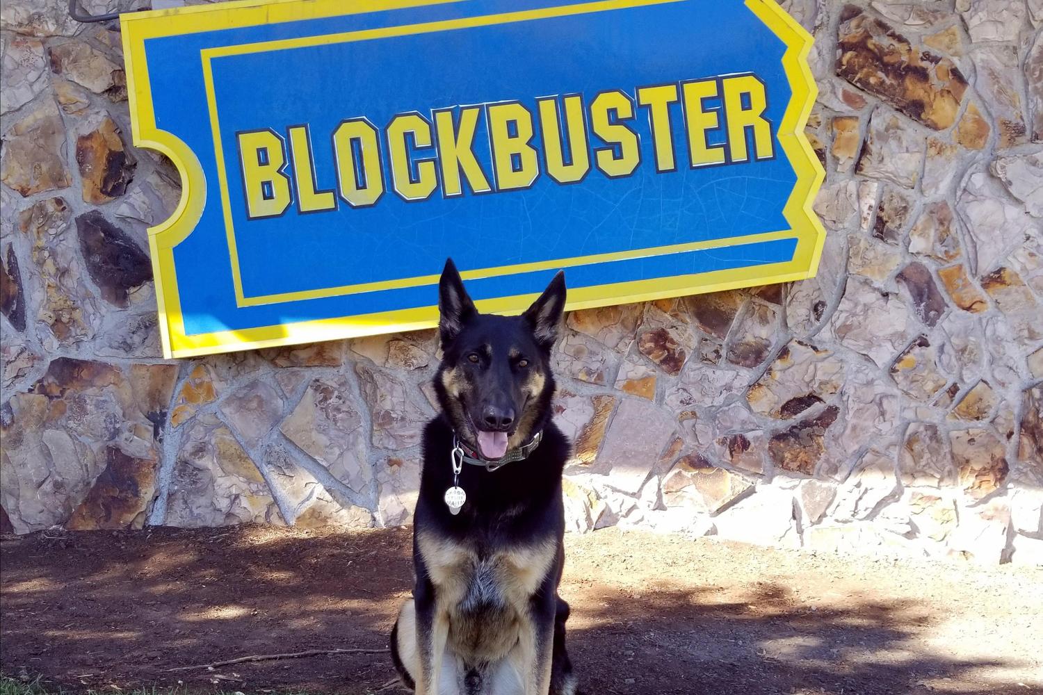 Blockbuster 4