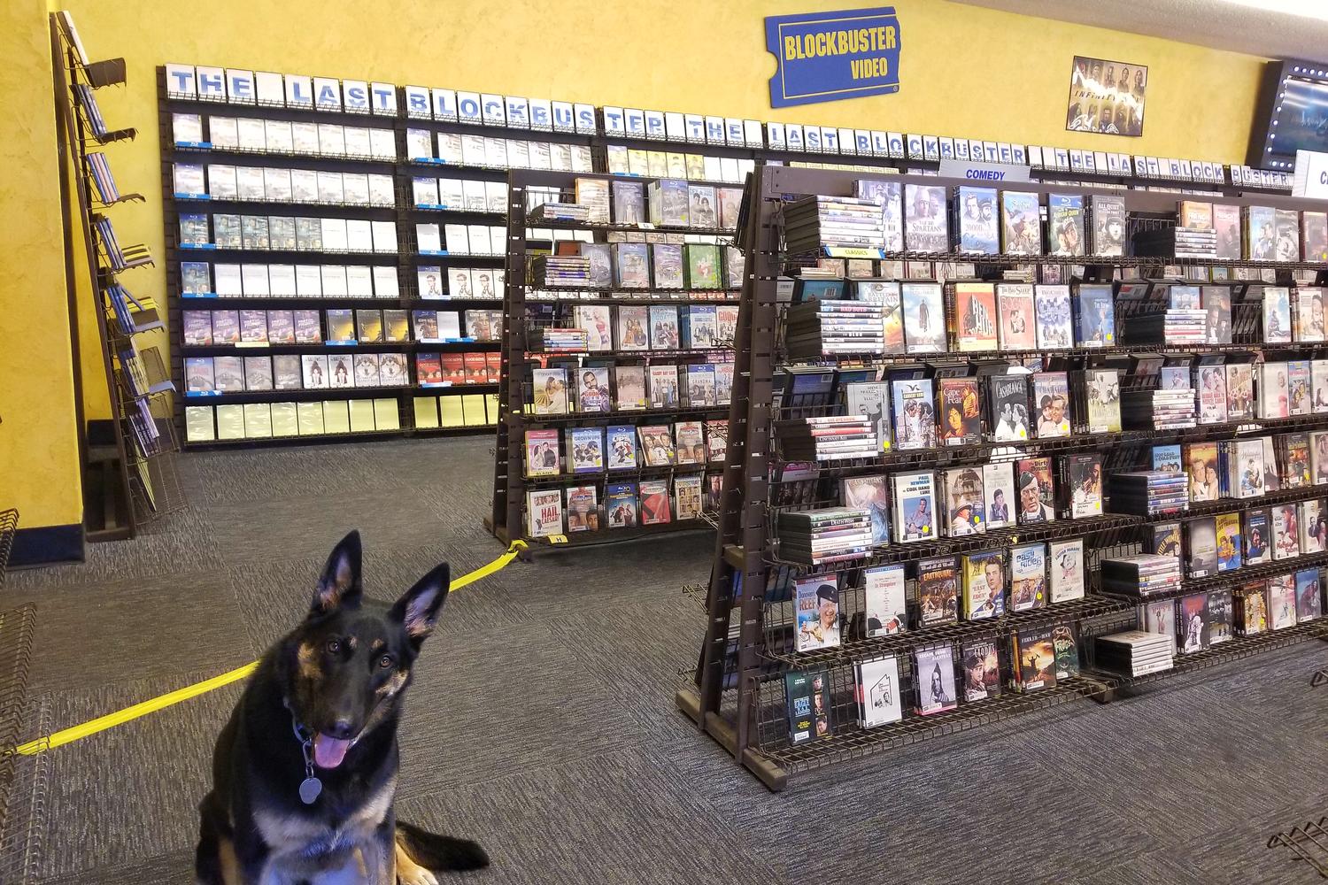 Blockbuster 3