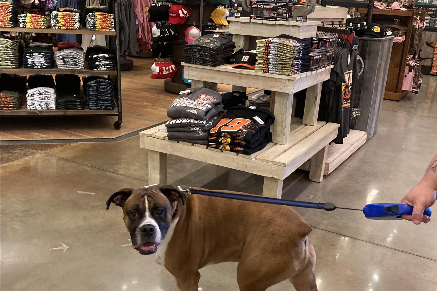 Bass Pro Shops 2