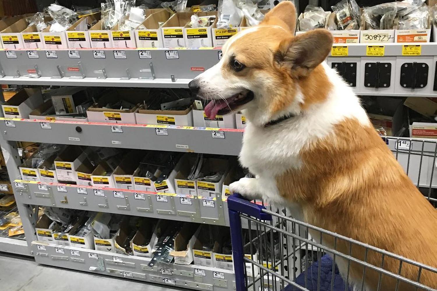 Lowe's Home Improvement 6
