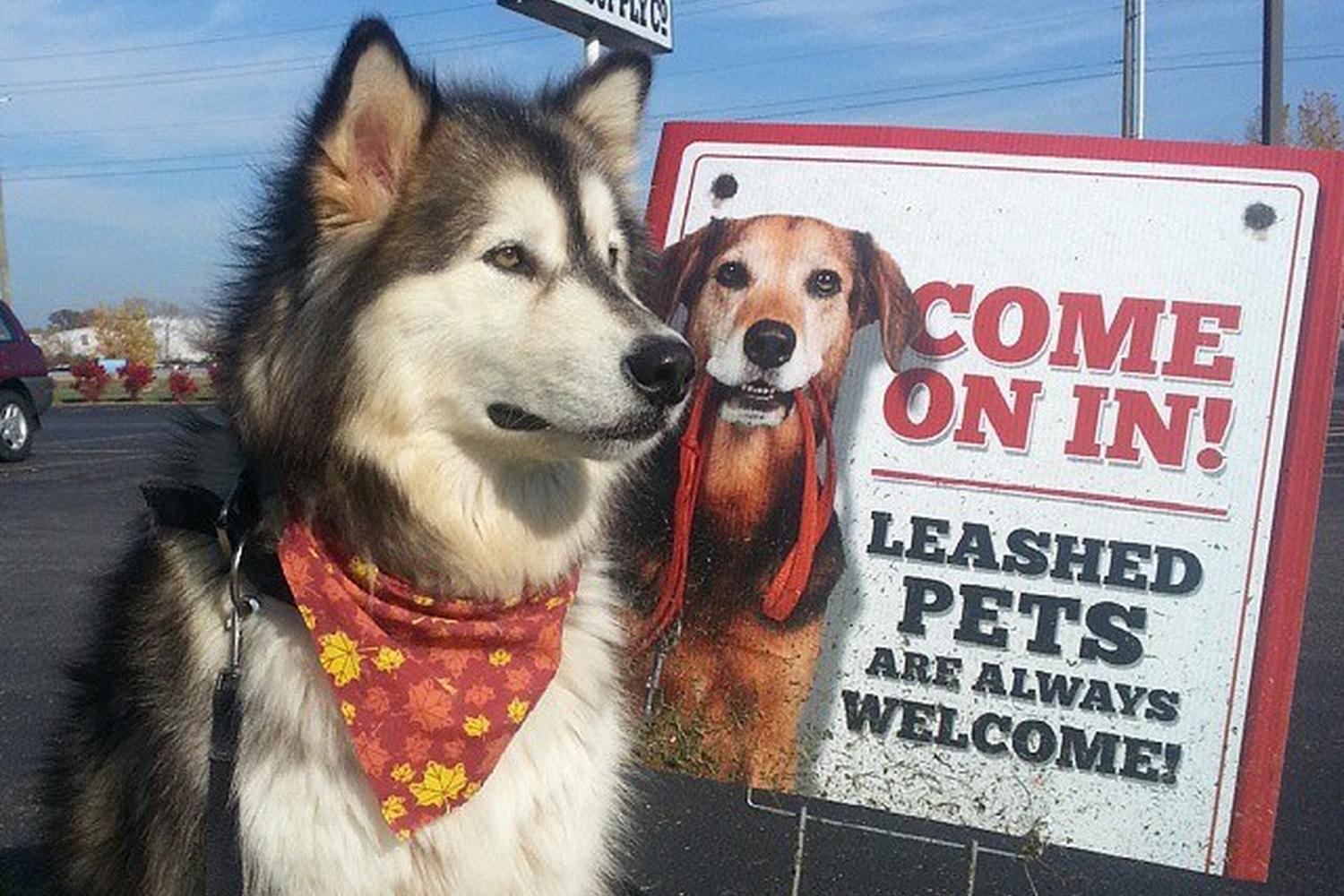 Tractor Supply Co. 4